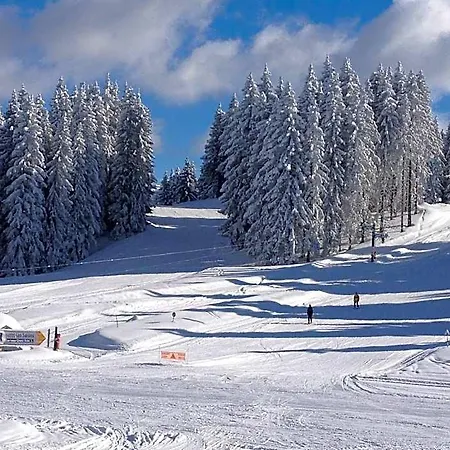 Du Mont-charvin & 4*